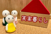 【悲報】子供部屋おじさんの貯金自慢って笑えるよな・・・・・・