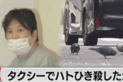 タクシーで鳩の群れに突っ込み…1羽ひき殺した疑いで運転手逮捕「人間の道路なので、逃げるのは鳩の方だ」