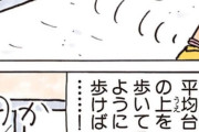 なぜあたしンちは"ちびまる子ちゃん"クレヨンしんちゃん"にはなれなかったのか