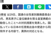 【速報】国連の女性差別撤廃委員会「皇室典範を改正せよ！」、一線を超え日本政府がガチ切れ「日本が国連側に支払っている任意拠出金から同委員会を除外する」