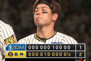 【速報】甲子園の阪神vs日本ハム、延長11回裏にまさかの幕切れｗｗｗｗｗｗｗｗｗ