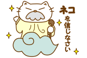 日本のネコが近付くだけで怒って威嚇してくるようになった→病院で衝撃の理由が判明！【タイ人の反応】