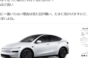 【悲報】有名YouTuber「テスラなんて絶対買いたくない！その理由がこれ！」