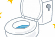 トイレでその家庭が底辺かどうか分かる説