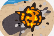 【悲報】クジラさん、破裂してしまう