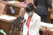 【国会】動画：杉田水脈議員の質疑、拉致問題・コロナ水際対策・尖閣・ウイグル‥どんどん退席する議員らが話題に