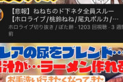 【悲報】ホロライブの人気Vtuberのファン、下品なトークが嫌すぎてファンを辞めてしまう・・・