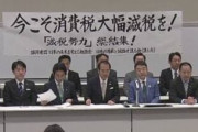 「消費税を下げろ！」自民党若手議員が消費税減税求め緊急声明