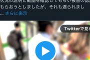 【悲報】私人逮捕系YouTuber「こいつ痴漢です！！」男性「触ってません」女性「触られてません」