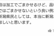 【朗報】NGT48中井りかさんの「加工加工ってうるせえんだよ」発言に対するヤフコメ民の反論が正論過ぎると話題ｗｗｗｗｗｗ