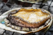 アワビに顔があるって知ってた？見たらもう食えなくなるかも