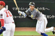 阪神近本光司２安打１打点＆20盗塁目　６戦連続安打と好調を維持