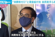 10月から消費税ゼロ、社会保険料1/2に