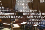 自民党・新人の広瀬めぐみ議員が高市早苗大臣を立憲民主党と一緒になって国会で叩き始めて炎上