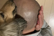 【画像】ワンコが頭舐めてくる