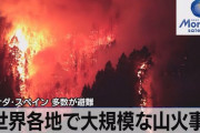 【地球終了】世界中で山火事が増えまくる‥‥森林焼失が20年で2倍近くに　温暖化加速へ