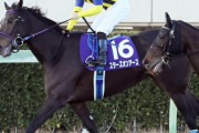 【競馬】有馬記念の余韻が抜けない皆さん。「ルメールやっぱすげぇよ」