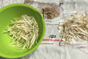 もやしの「ひげ根」を取るか取らないか、価値観の違いで家庭内バトルも　「食感」重視か「タイパ」重視か、ちょっと高いけど「根切りもやし」も選択肢に