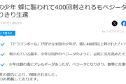 【朗報】蜂に刺されたキッズ、ベジータになりきり無事生還ｗｗｗｗ