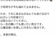 【悲報】滝沢カレン「ありえないです。悔しいです。納得いかないです。嫌です、絶対。やめてください。悲しいです。辛すぎます。」