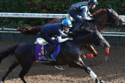 【ダービー馬は神戸新聞杯へ】シャフリヤール　福永祐一「不安な要素ひとつもない」