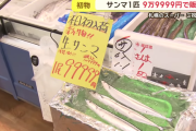 「まだ手が出ないですね」１尾９万９９９９円のサンマが札幌のスーパー店頭に