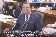 「バナナのたたき売りではないか」立憲民主党・野田代表が小泉大臣を追及… 小泉進次郎農林水産大臣「古い備蓄米をおろしていく価格としては、私は適正だと思います」