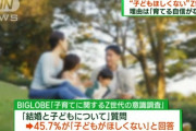 【悲報】政府「頼むから子供生んでくれ」Z世代「育てる自信がないからいらない」