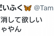 【スマブラ】雑魚狩り偽レートで有名なたまP「スティーブ消してほしい」←消せ消せ消せ　→ほんとにツイ消しして逃亡