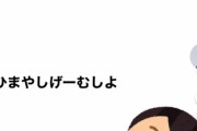 【朗報】女の子、ゲームでナンパされてガチ恋！チー牛も同じ手口で彼女作れそうだぞｗｗｗｗ