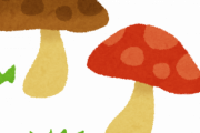 日本の毒キノコ、症状が陰湿すぎて炎上