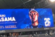 【日向坂46】日本ハム浅間選手の新登場曲wwwwww