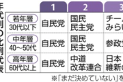 【朗報】Z世代「投票先？自民・国民・チームみらいの3択っしょ！w」