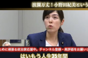 【朗報】小野田大臣(35)「今まで男性と付き合った事ないし興味ない。二次元のキャラ以外好きにならない」
