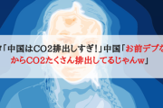 グレタ「中国はCO2排出しすぎ！」中国「お前デブなんだからCO2たくさん排出してるじゃんw」