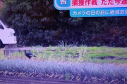 「ひるおび！」生放送中に巨大鳥発見でヤバいことにｗｗｗｗｗ
