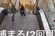 【事故？】イオンでカートをエスカレータから落とすヤバい奴