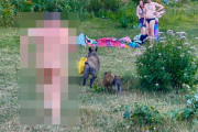 【シュール】ドイツの湖畔で全裸で日光浴をしていたおじさんが荷物を奪ったイノシシを追いかける写真ｗｗｗｗ