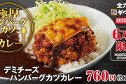 【朗報】かつや、6万食限定でめちゃくちゃ美味そうな期間限定メニュー「ハンバーグカツカレー」を発売