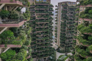 【朗報】中国のタワマン、地球の緑化に貢献する