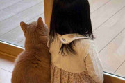 「何このかわいい光景」2歳娘と猫がピッタリと寄り添う後ろ姿が尊い…いつも仲良し？普段の様子を母親に聞いた