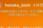 【元日向坂46】岸帆夏「様々な憶測が出回ってますが...」現在インスタは閉鎖に