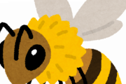 蜂「蜂蜜作ります。害虫食べます。花粉交配します。栄養豊富です。」←こいつが人間に嫌われる理由