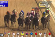 【競馬】16億円種牡馬カリフォルニアクローム、日高到着