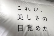 【画像】電車内に羽毛が吊るされてるｗｗｗｗｗｗｗ→前代未聞の中吊りに注目集まる！！