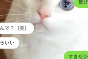【LINE画像】おれが気になる娘にブロックされるまでの経緯をたどる
