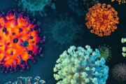 コロナ派生型「エリス」が都内で3割に！米欧では新たな派生型も見つかる