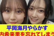 【日向坂46】平岡海月やらかす…竹内希来里を忘れてしまう…【ひななり】【もひなり】