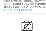 關口赤彗星(せきぐち・しゃあ)君、プロ志望届を提出❗❗