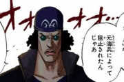 【ONEPIECE -ワンピース】ロビンさん、バスターコールにビビりすぎてしまうｗｗｗｗｗ